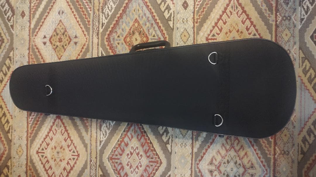 CARLO GIORDANO VS-2 4/4サイズ バイオリン 本体+弓2本