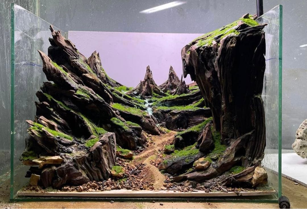 60cm水槽用レイアウト(流木、水草、石、アクアリウム) - メルカリ