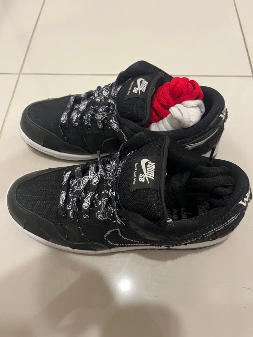 Wasted Youth × Nike SB Dunk Low 26cm