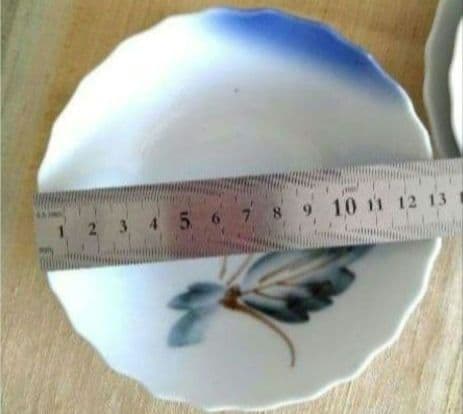 明治　大正　昭和レトロ　時代物　骨董品　伊万里　花縁取り小皿　ヤブコウジ　14枚