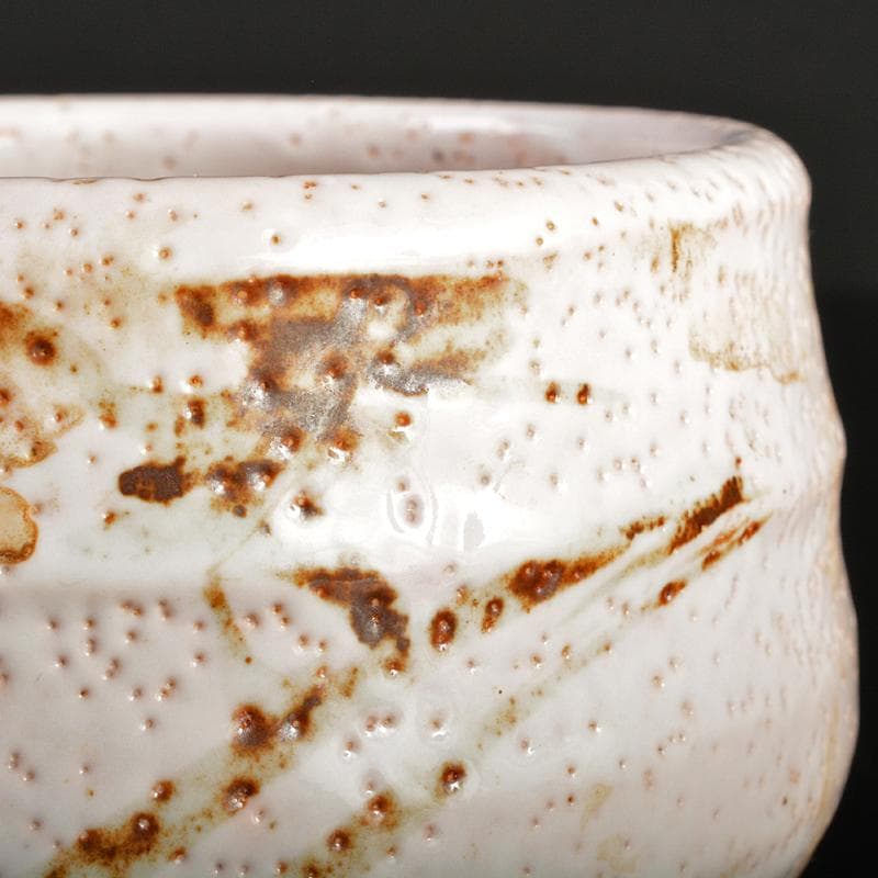 茶道具人間国宝荒川豊蔵作絵志野水指仕覆付共箱DR8739B