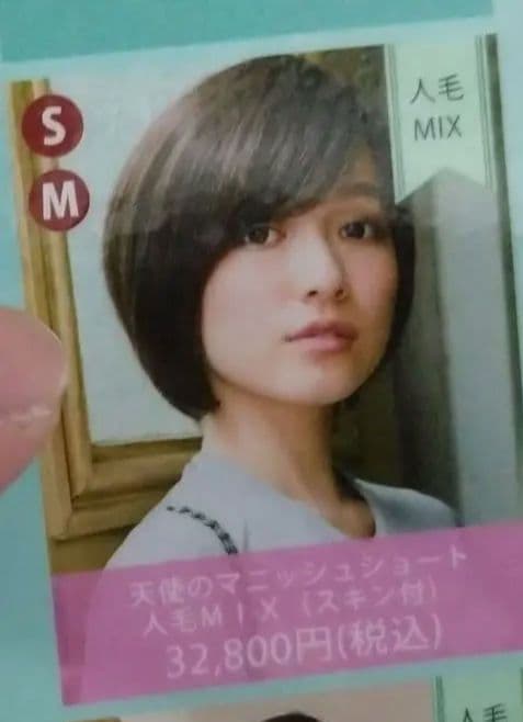 ウィッグ　ショート　ブラック　黒　リネアストリア