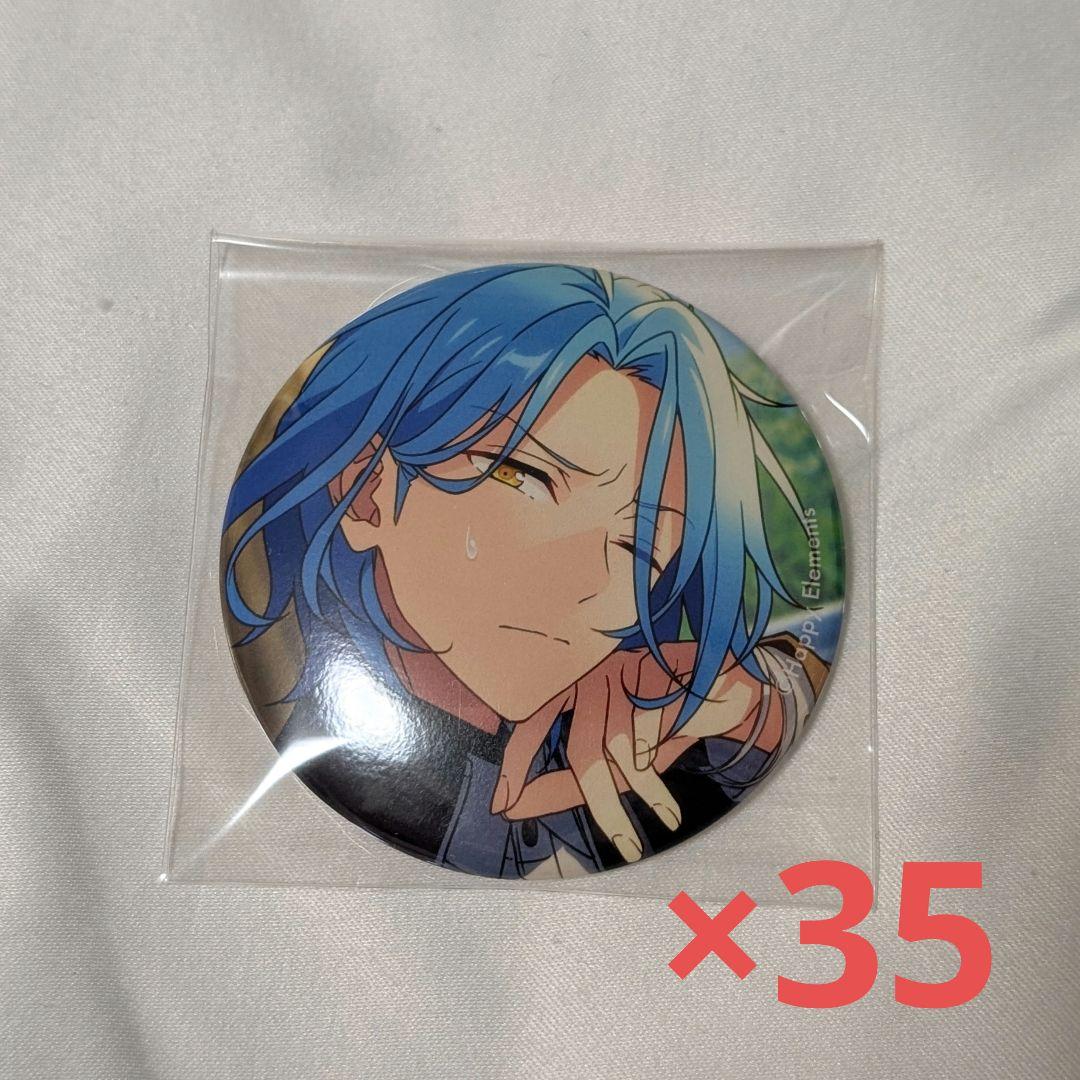 HiMERU イベコレ缶バッジ Extra 35点