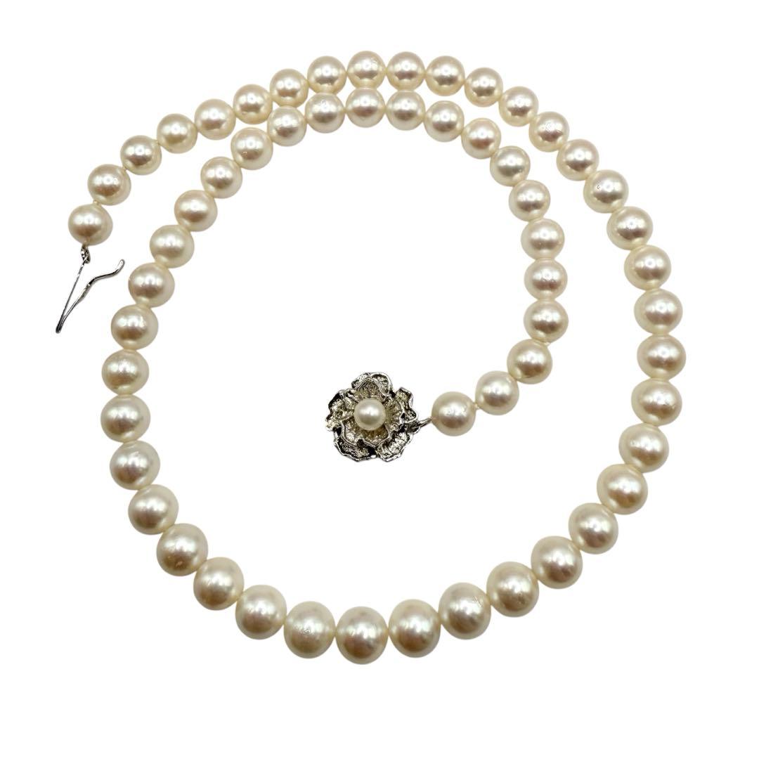 日本画 / 鎌田 義裕 / 【彩光】/ 掛け軸 / 共箱