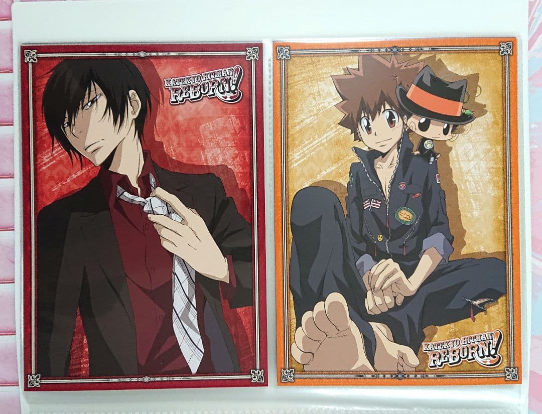 家庭教師ヒットマンREBORN！ ファイル付きビッグポストカードセット