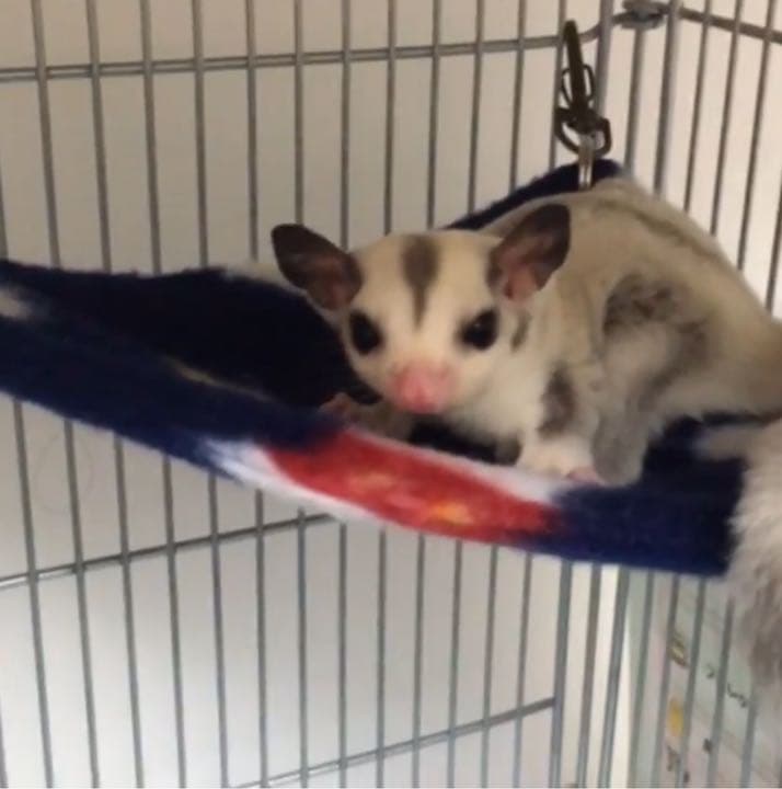 三角コーナーハンモック(SMILEY FACE) 夏仕様 2枚組