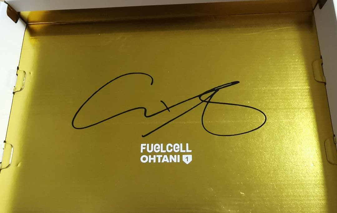 【新品】27.5cm ニューバランス Ohtani v1 Trainer