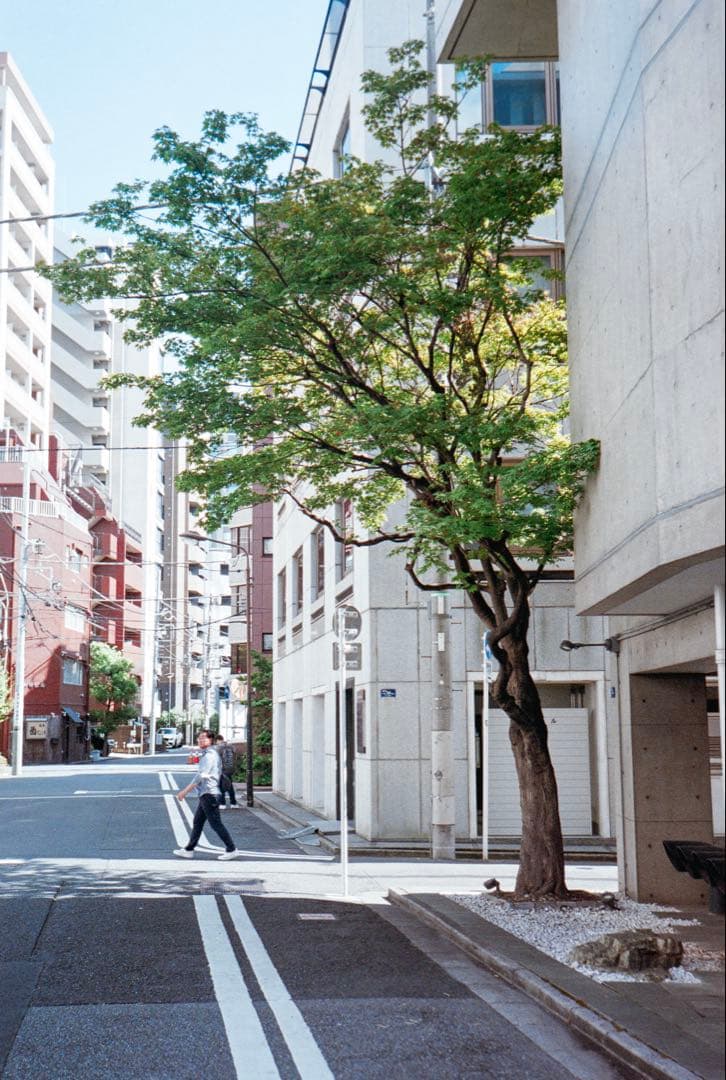 AGFA optima 1535 作例あり