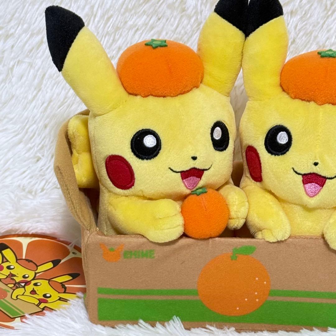 ✨️タグ付美品】ポケモンストア 愛媛 ペアピカチュウ えひめみかん