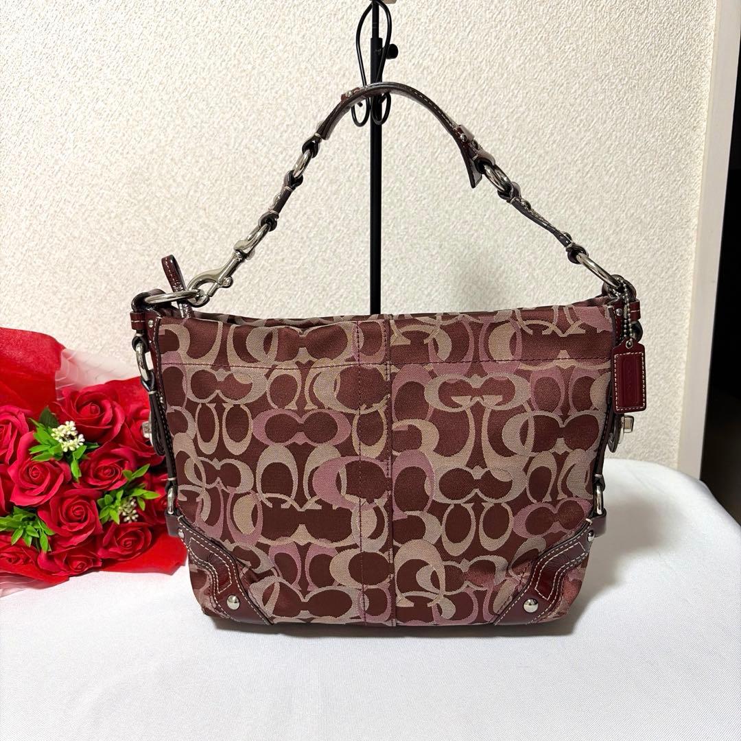 COACH curly 13980 red×pink signature BAG