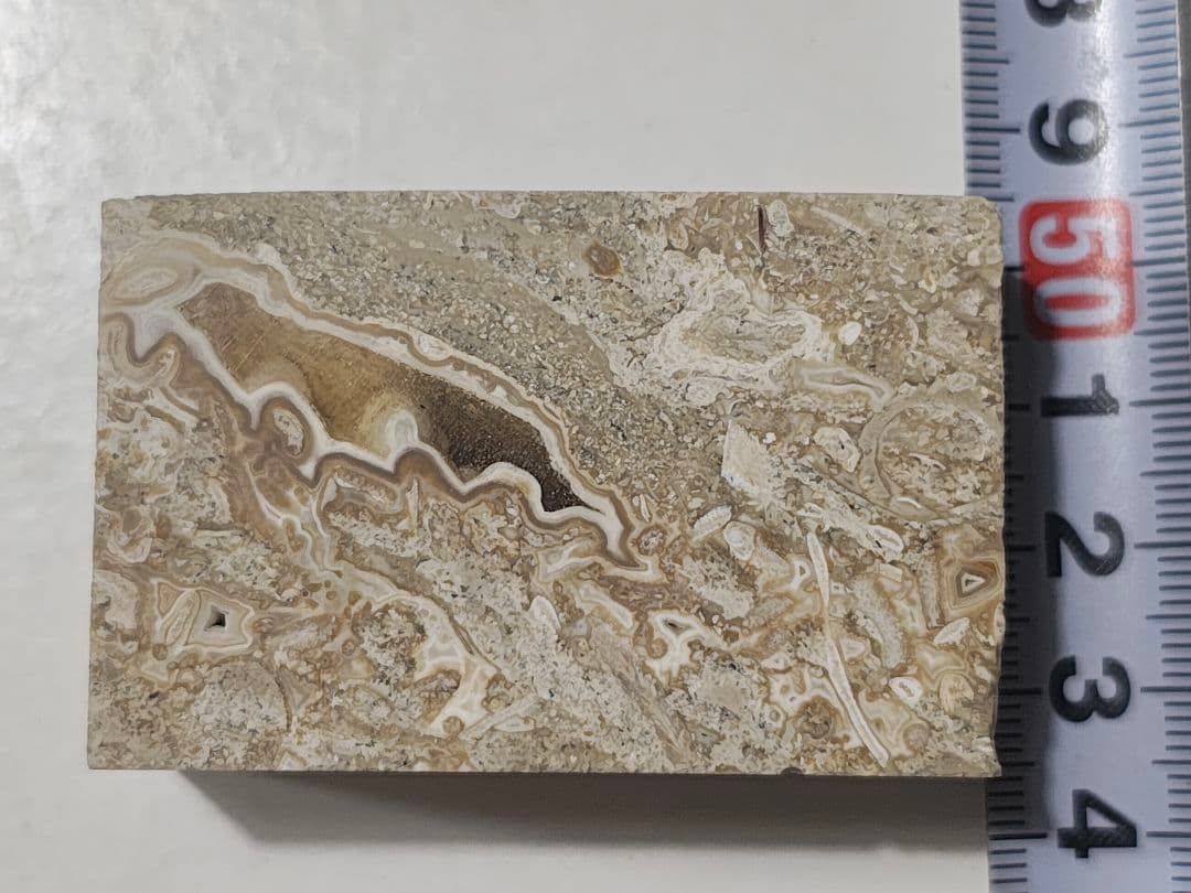 日本産 化石入り大理石(の切れ端)25個セット