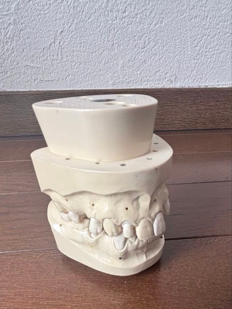 最終価格　歯科　支台歯形成　練習模型　セット