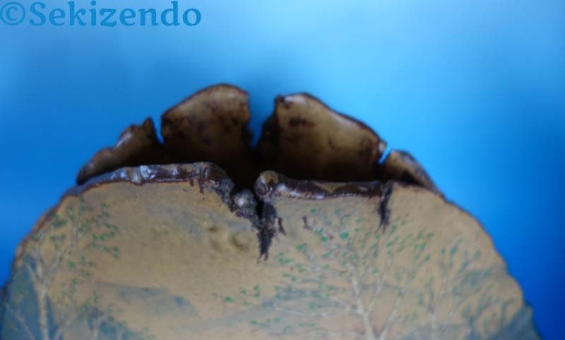 隆起象嵌篇壷 為那都窯 加藤高山 活火山 麓の景色 花瓶 花器 共箱 2495