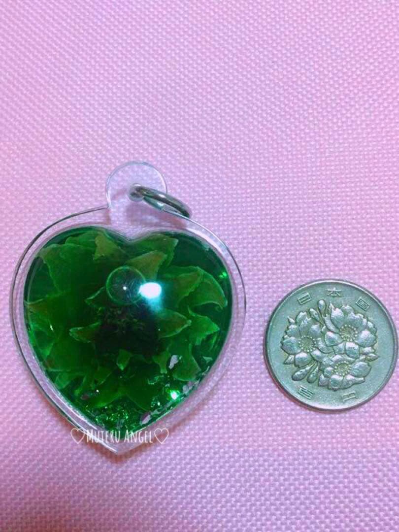 愛の花♡ ドークラックソーン プラクルアン 緑 ハート