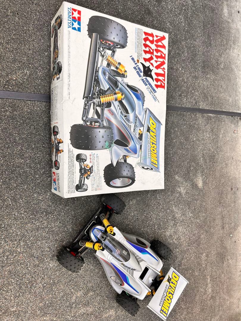 マンタレイ　ジャンク