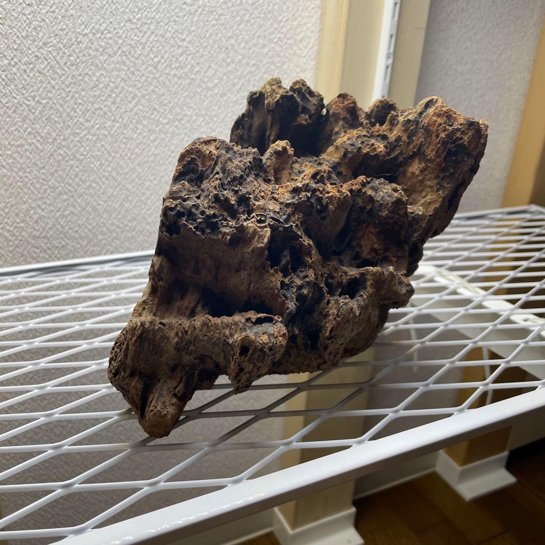 極上 スラウェシウッド 塊状流木 岩石