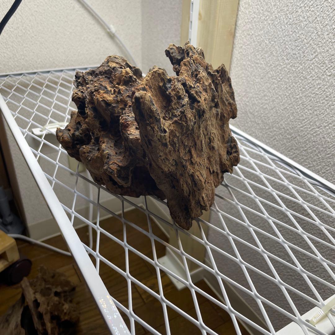 極上 スラウェシウッド 塊状流木 岩石