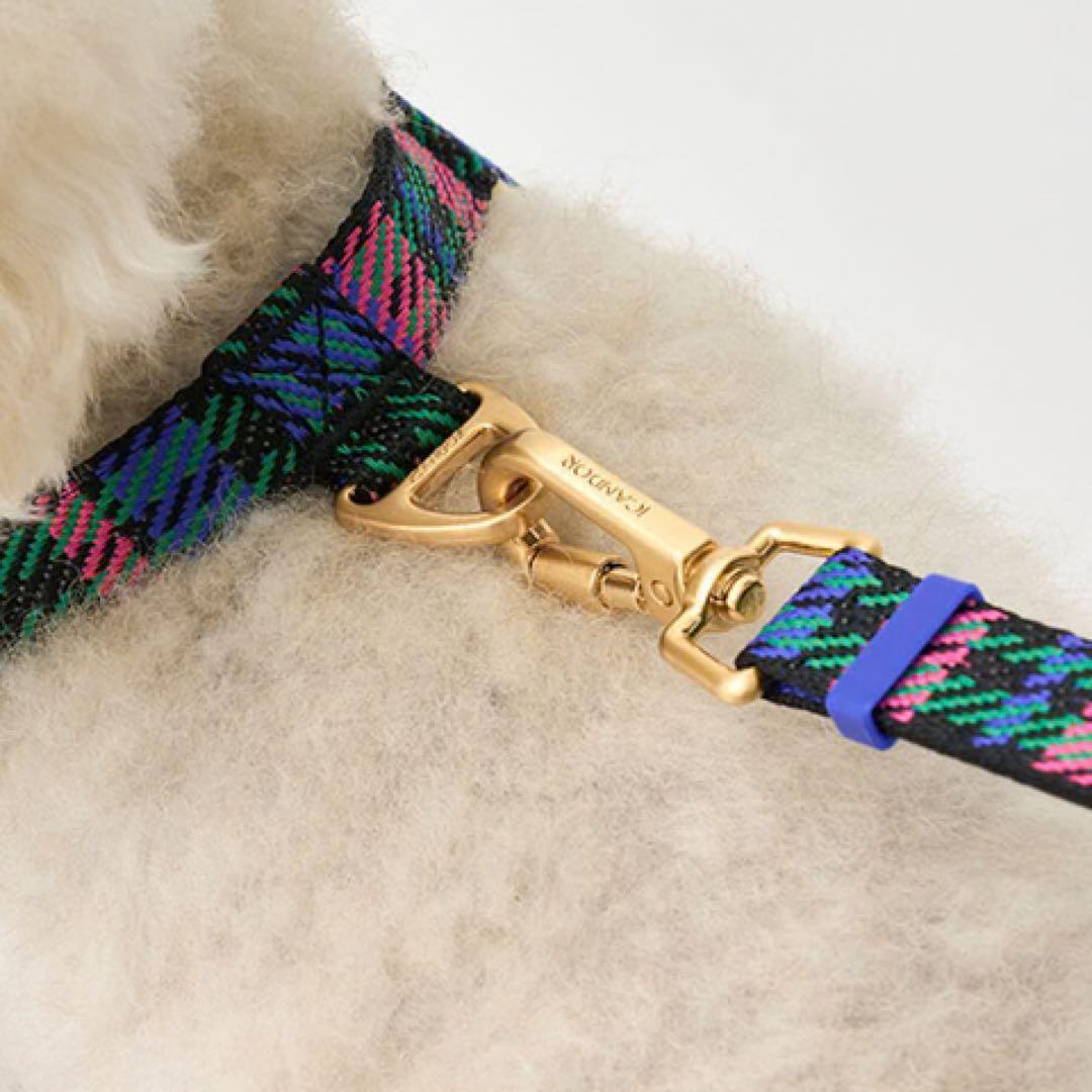 ICANDOR】 首輪 ハーネス ショルダーリード 3点セット