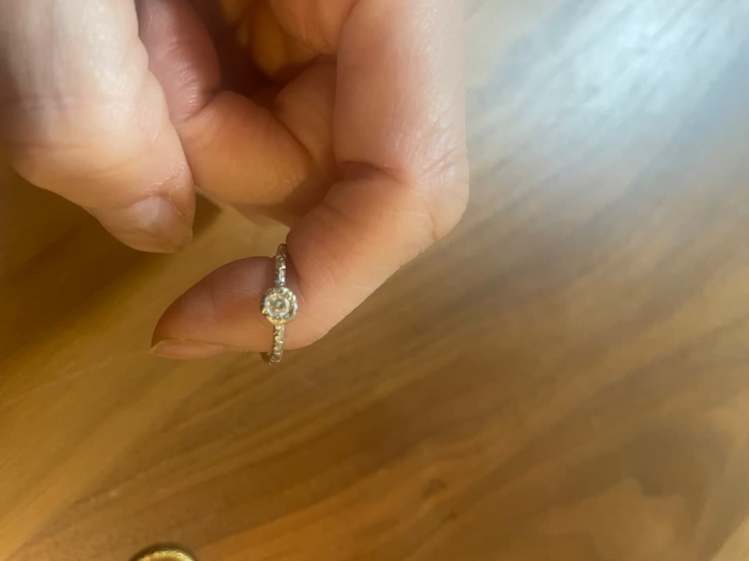 さおり　2点Studio waterfall バーニーズ購入