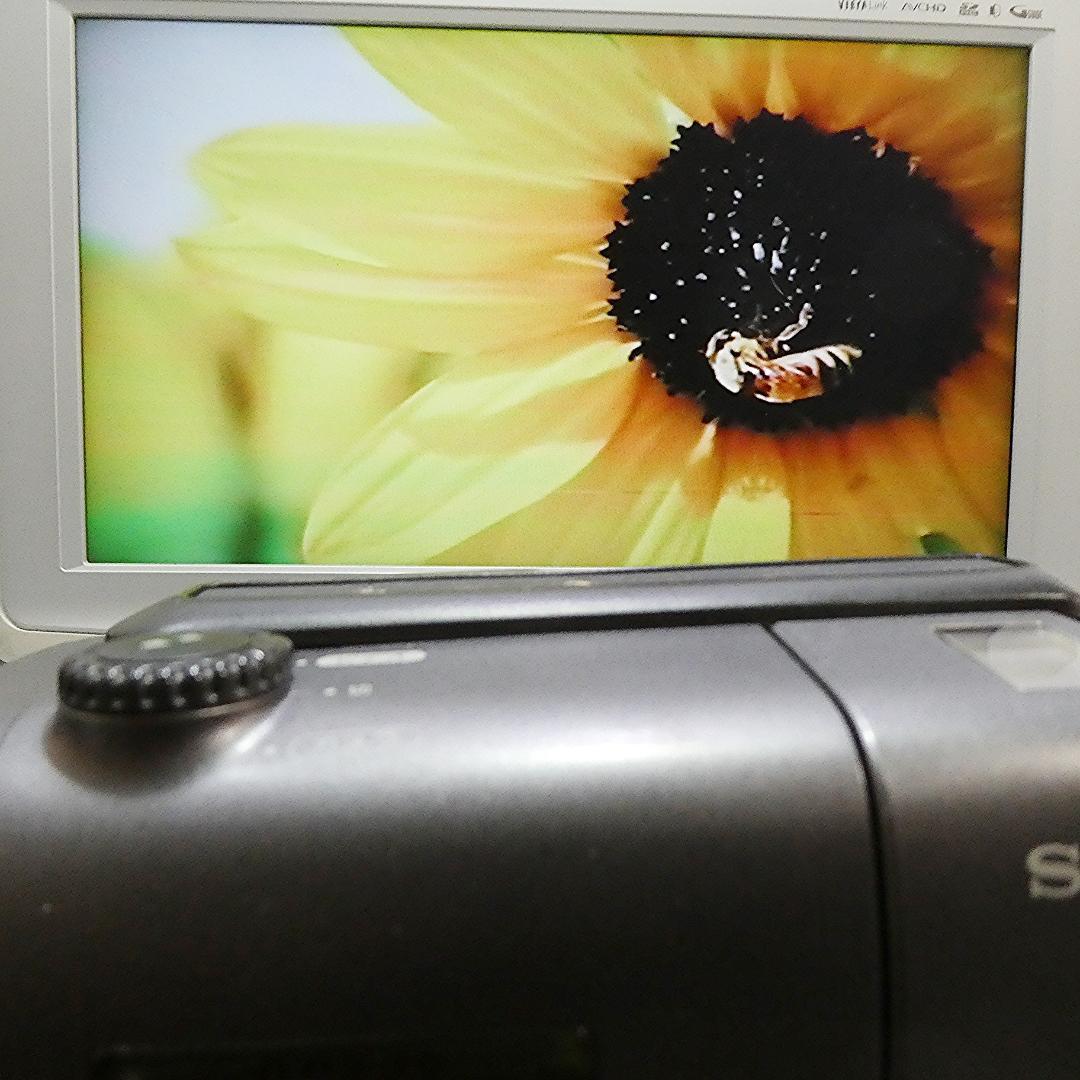 動作良好 ソニーVideoHi8 CCD-TR11 8ミリビデオ　DVD化に最適