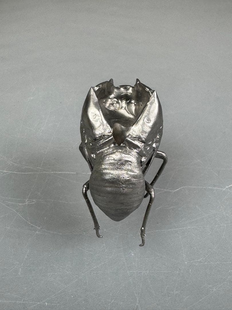 蝉 蝉の抜け殻 セミ オブジェ 虫好き 金属製 標本