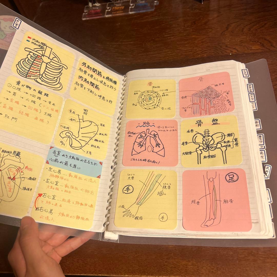 歯科衛生士付箋ノートまとめノート