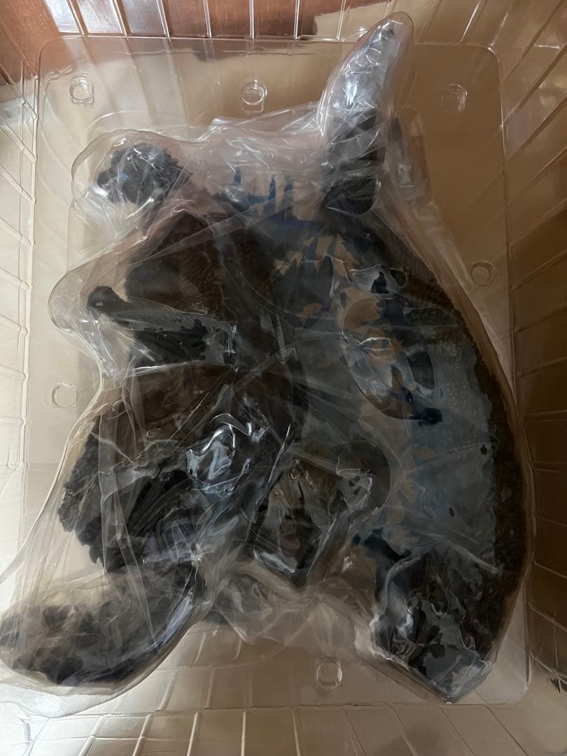 【内ブリスター開封】東宝30cmシリーズ ゴジラ（2023） 少年リック限定版