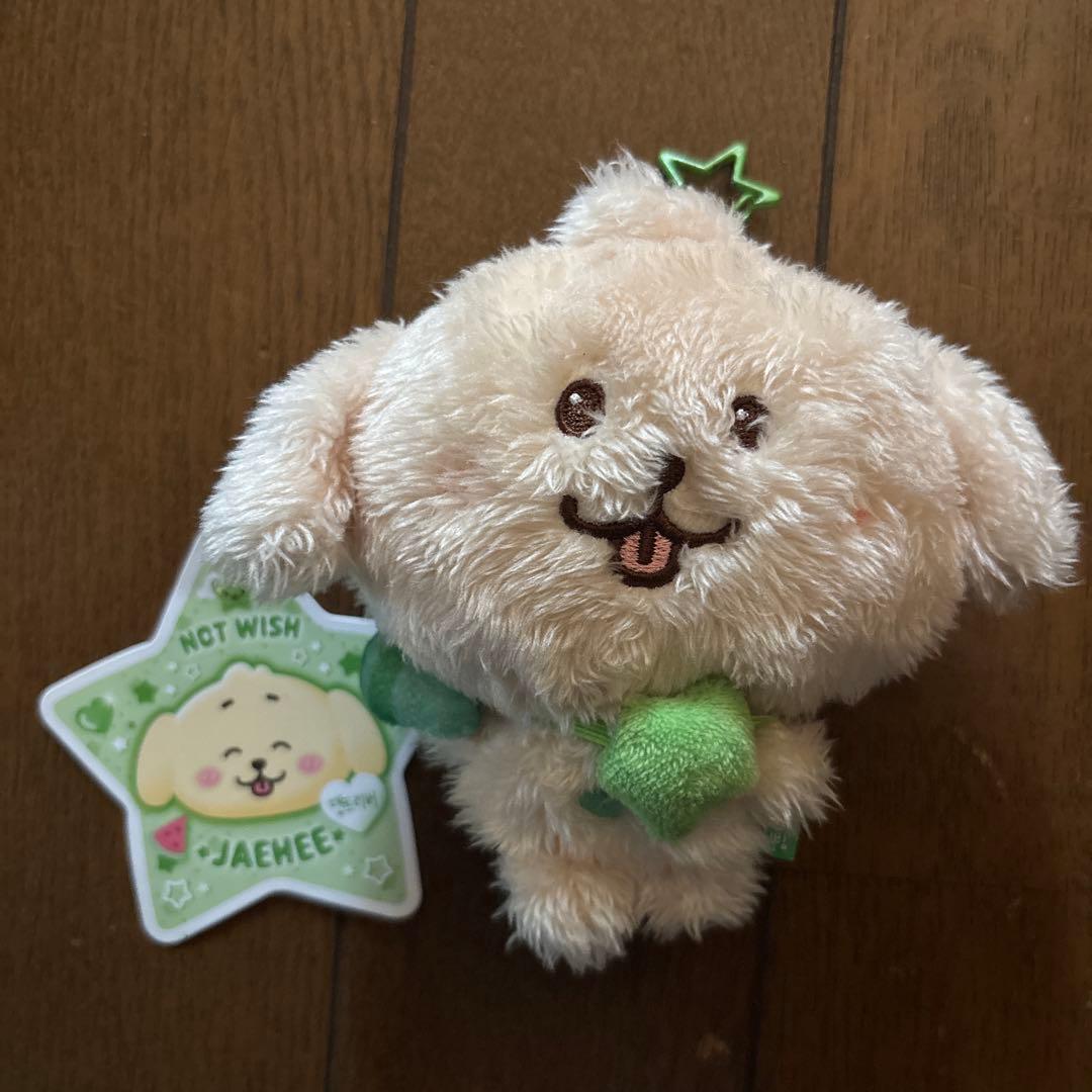 NCT WISH WISH DOLL ぬいぐるみ ジェヒ デントリバー - メルカリ