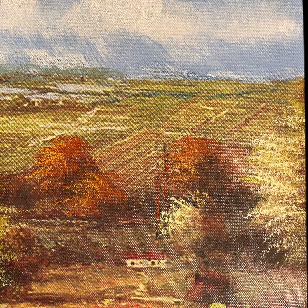 キャンパスプリントアート アネモネ畑 額付き インテリア 油彩画