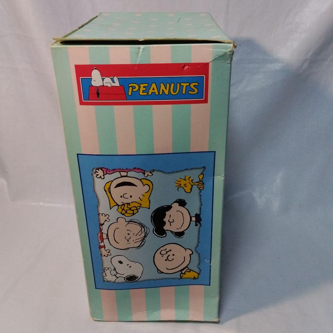 2001 マダムアレクサンダー PEANUTS Charlie Brown箱難
