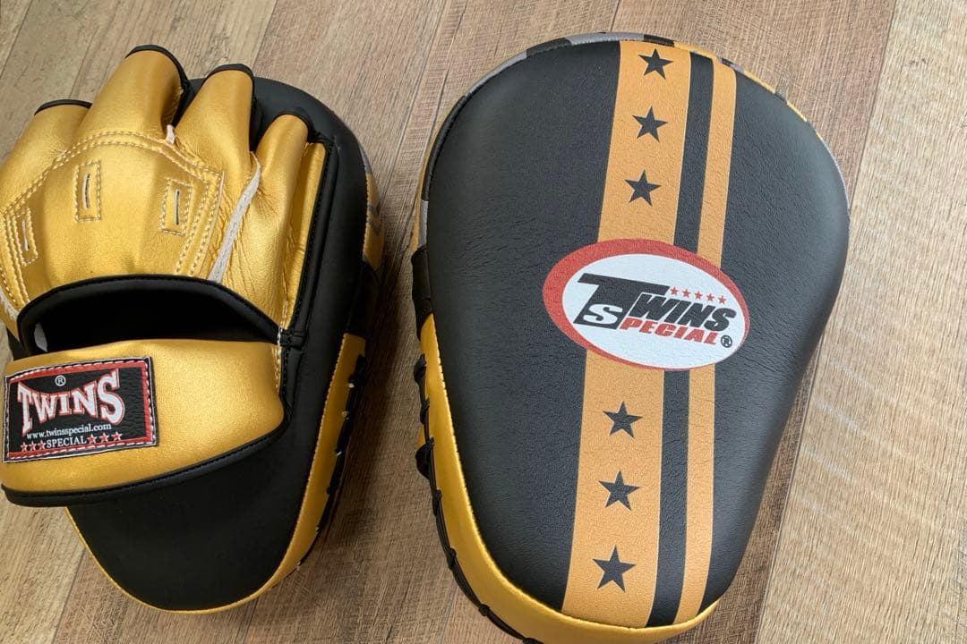 TWINS ペアパンチミット 金 ゴールド 黒