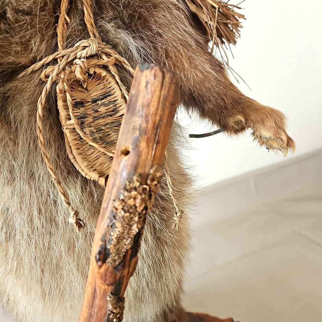 タヌキ 狸 鳥獣 剥製 本物 縁起物 商売繁盛 出世運 天然木 台座付き