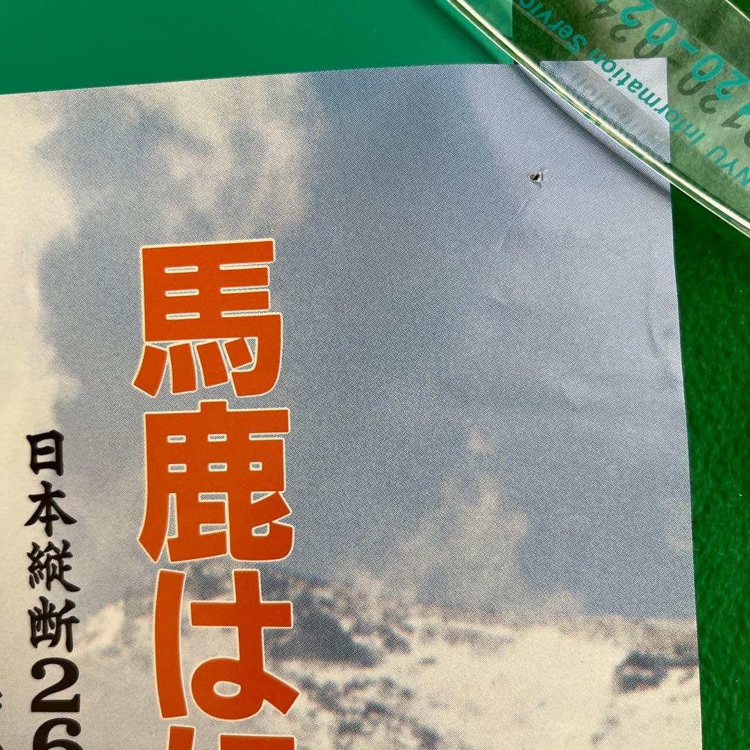 公開当時 あいつに恋して B2サイズポスター 森高千里映画デビュー