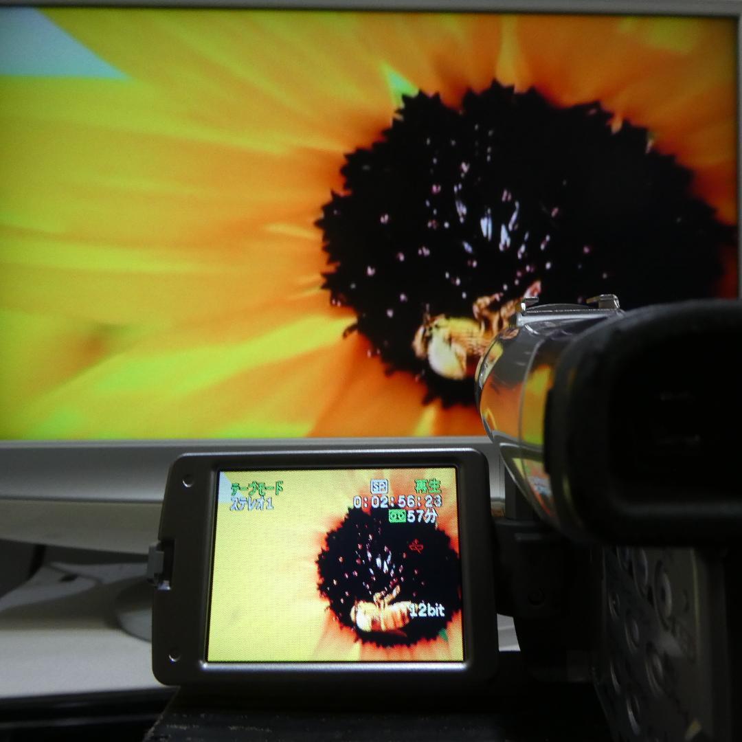 美品・動作良好 キャノン DM-FV M200 MiniDVビデオ DVD化に