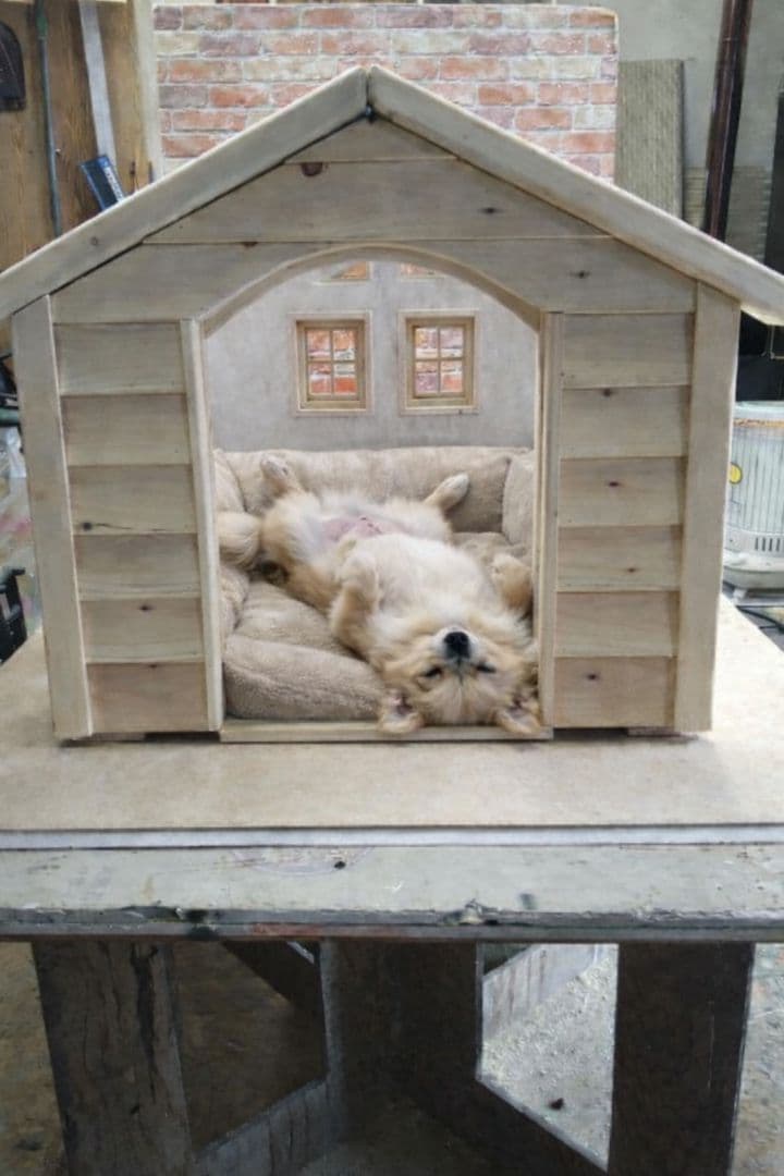 職人手作り 木製ペットハウス「Kenno」初号機 小型犬・猫用／室内用