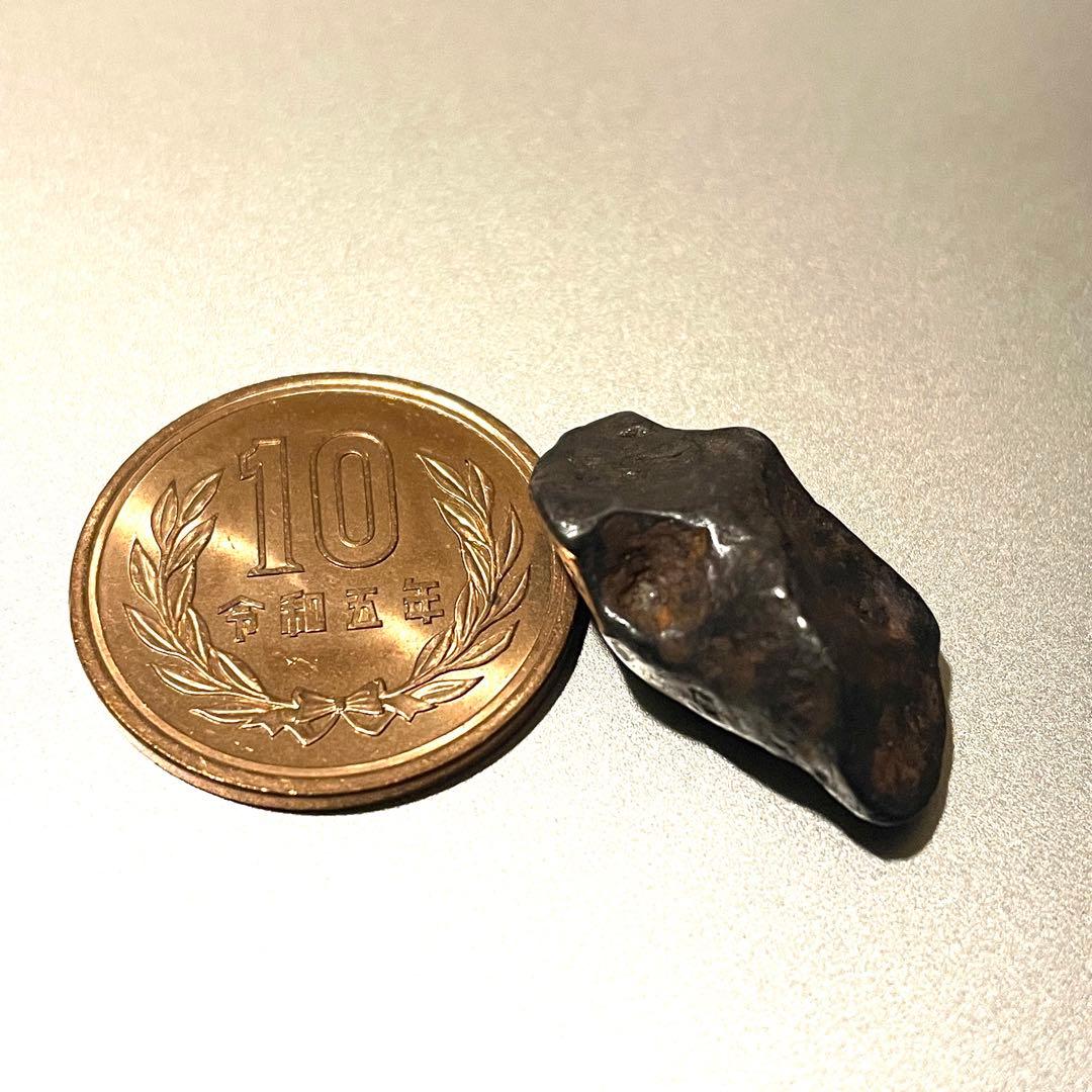 アグダル隕石 Agoudal Meteorite-A アグダル隕石 Agoudal Meteorite-A