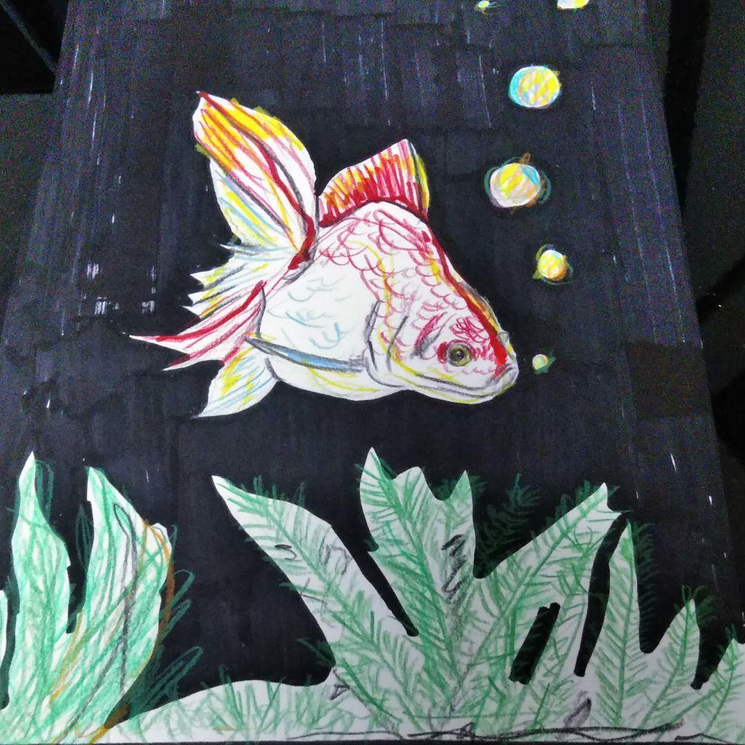 金魚　イラスト　絵画