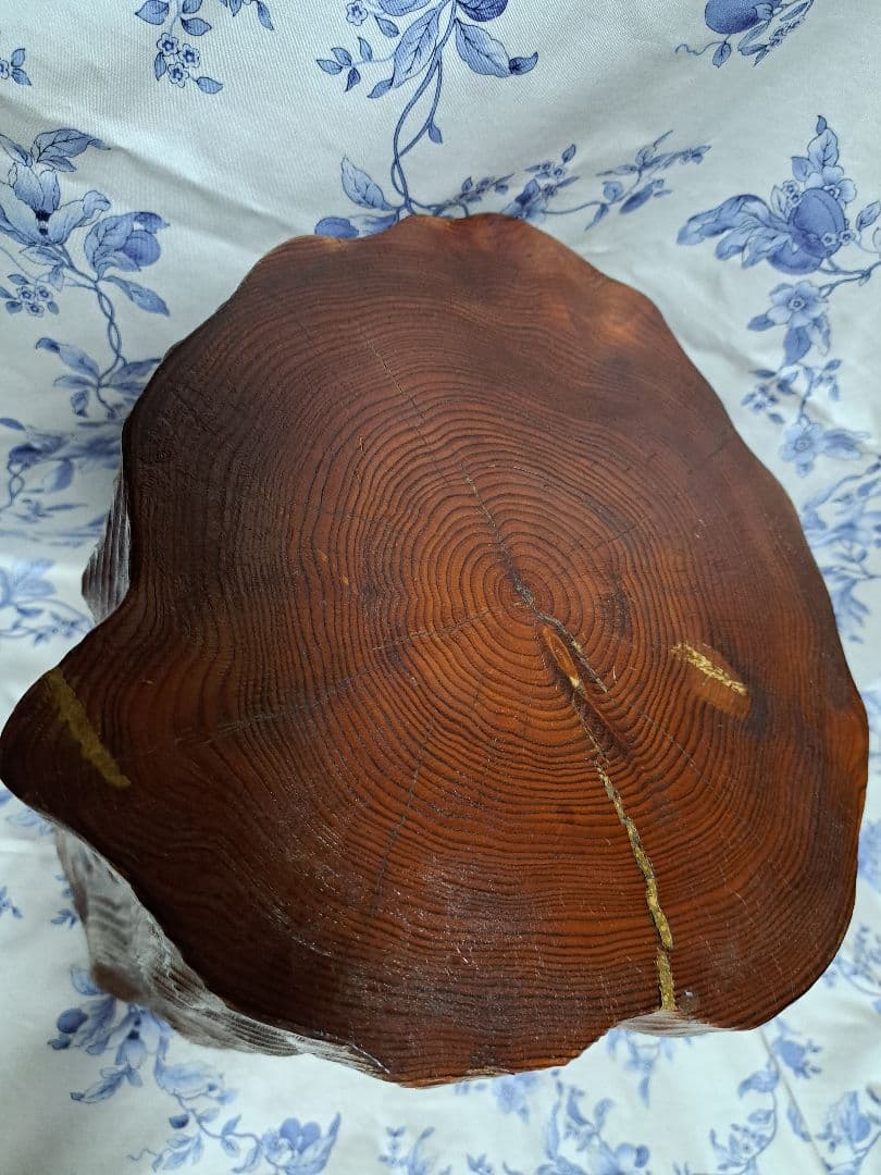 希少屋久杉 切り株置物