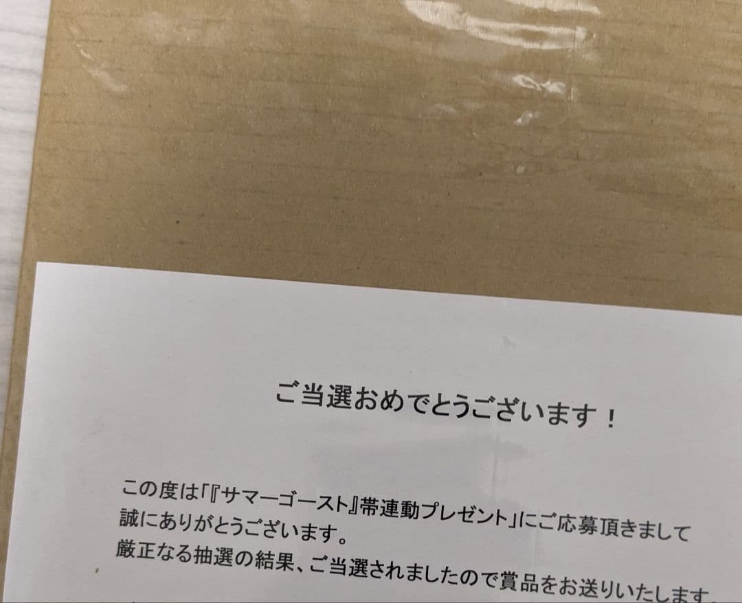 サマーゴースト loundraw 監督 直筆サイン入り クリアファイル - メルカリ