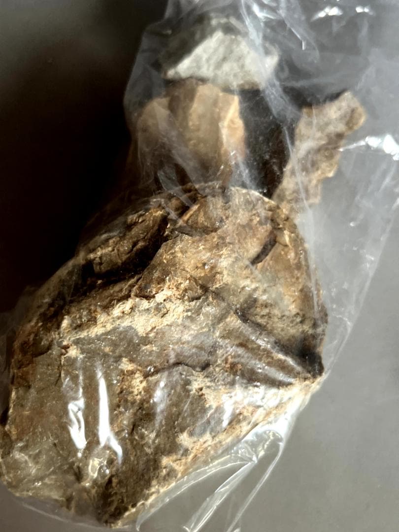 □敦煌 月牙泉の水 鳴沙山の砂 オンライン 桂林郊外の畠脇より採収