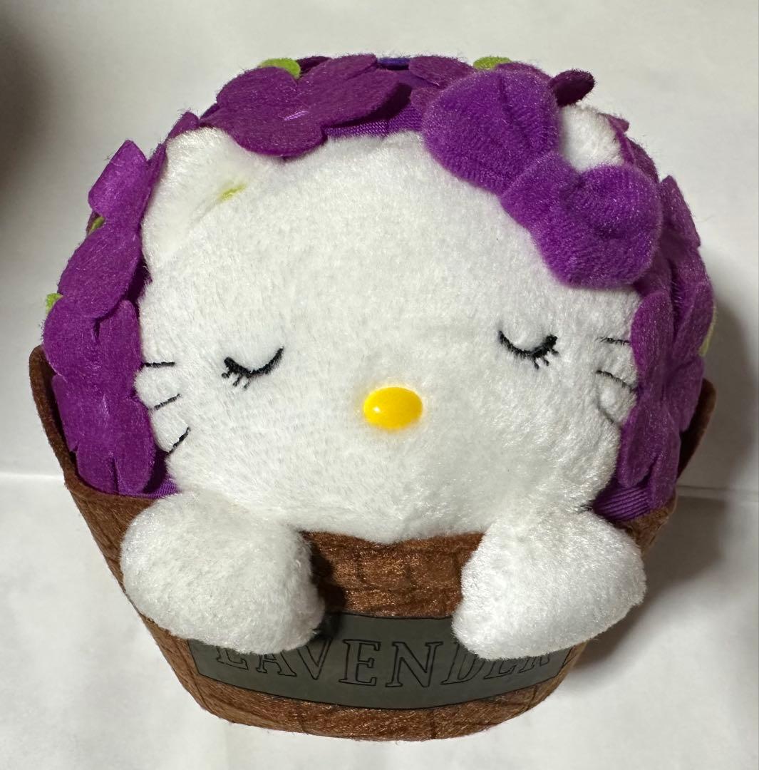 超激レアご当地キティ エジプト展キティ 北海道ラベンダー＆雪うさぎ