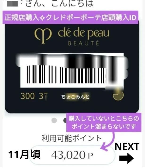 新品✨正規店購入 クレドポーボーテ タンプードルエクラⅡ オークル10 レフィル