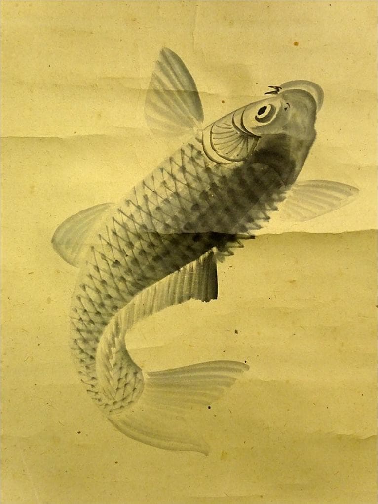 掛軸 米村観嶺『跳鯉図』紙本 肉筆 無地箱付 掛け軸 a062810