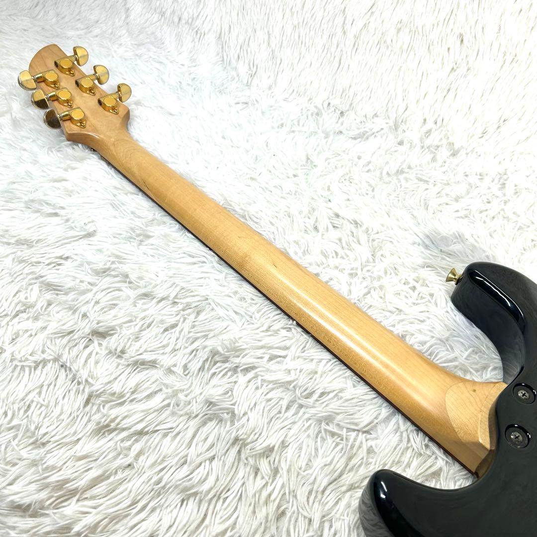 希少】Fernandes APG-85S GLAY HISASHI愛用モデル - メルカリ