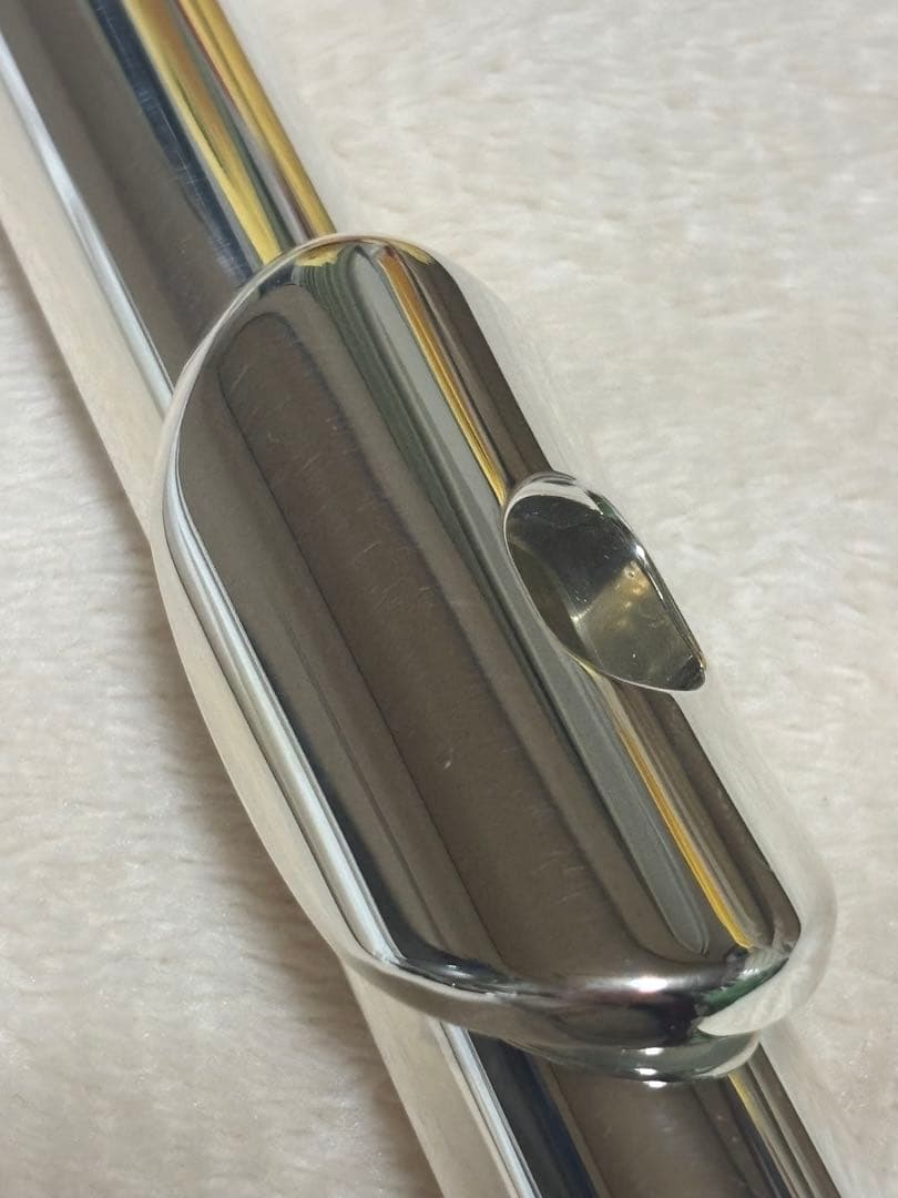 イーストマン　フルート EFL210SE