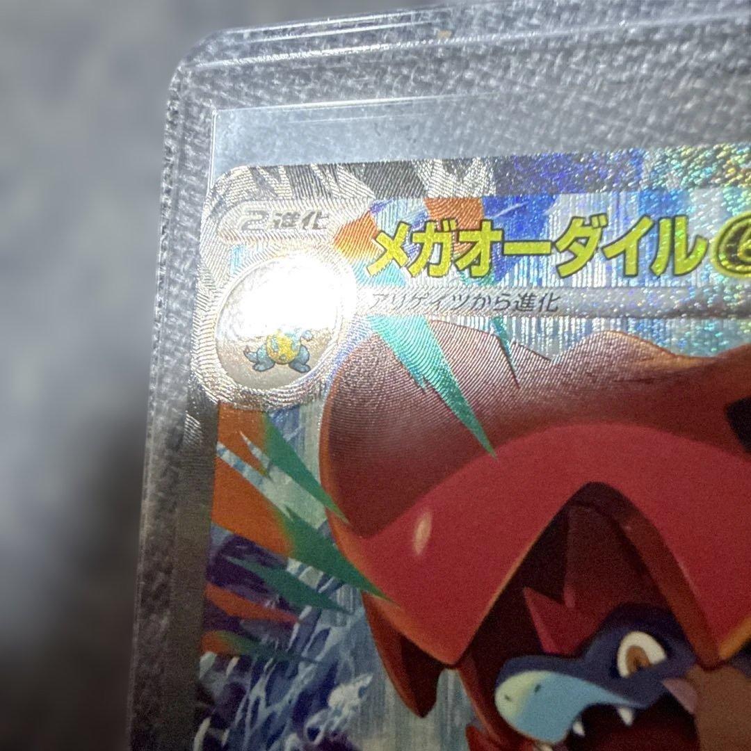 ト*ラ様 スタートデッキ100バトルコレクション 101番　御三家3枚デッキセッ