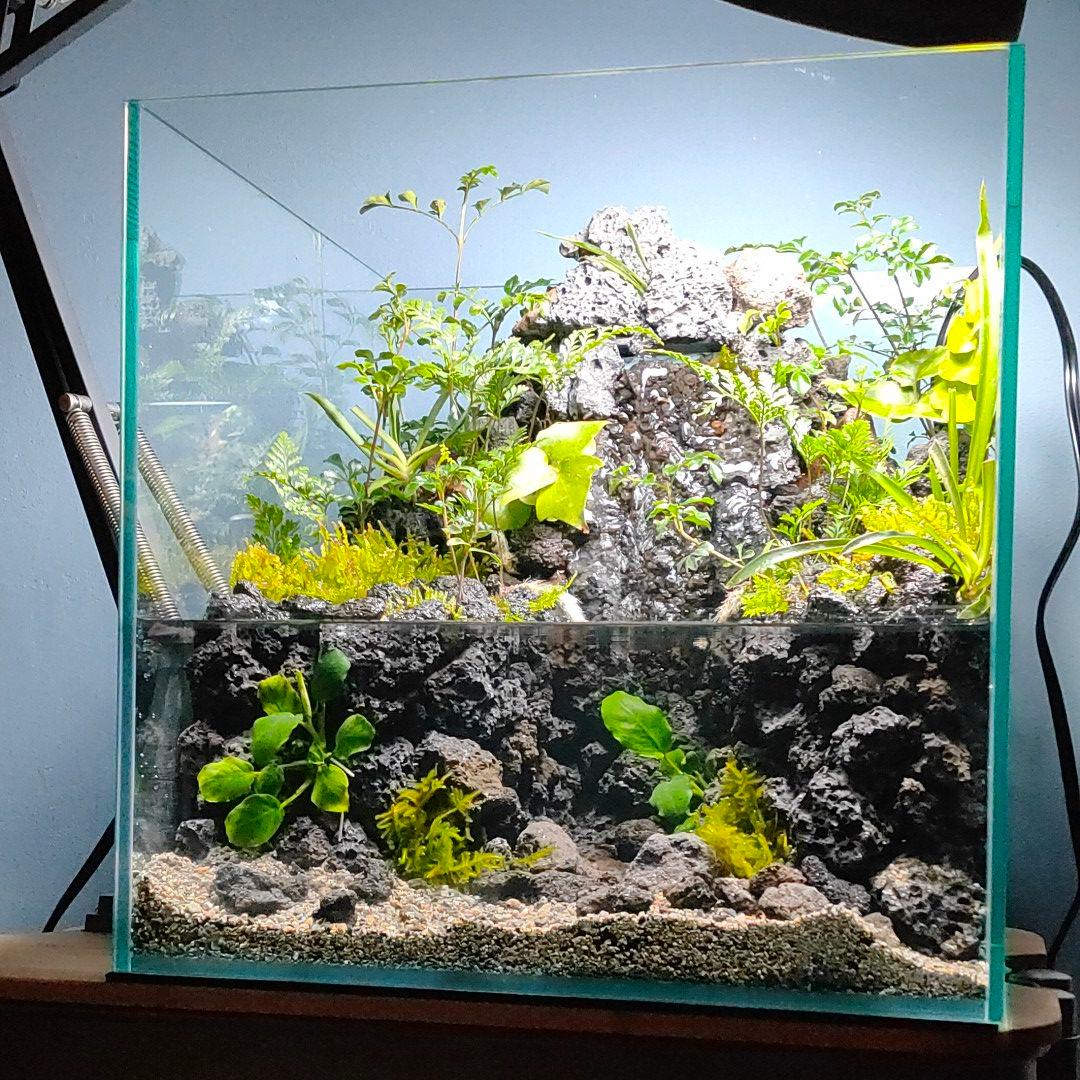 サミー様専用】滝の流れるアクアテラリウム:オーダーメイド