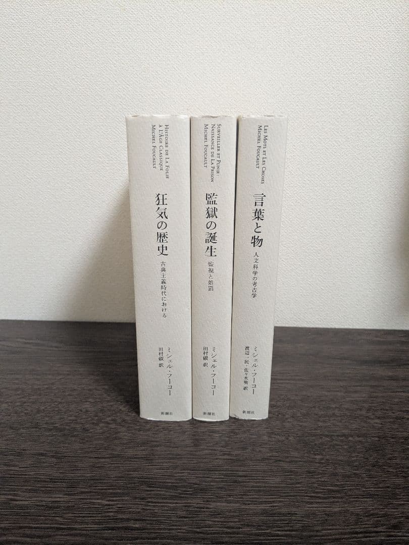 ミシェル・フーコー 監獄の誕生 言葉と物 狂気の歴史