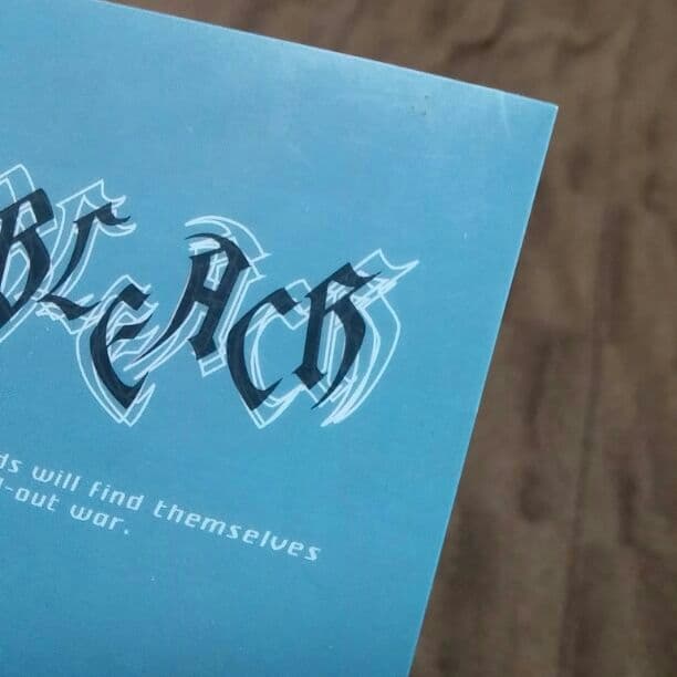 △購入禁止△ BLEACH 日番谷 檜佐木 クリアファイル