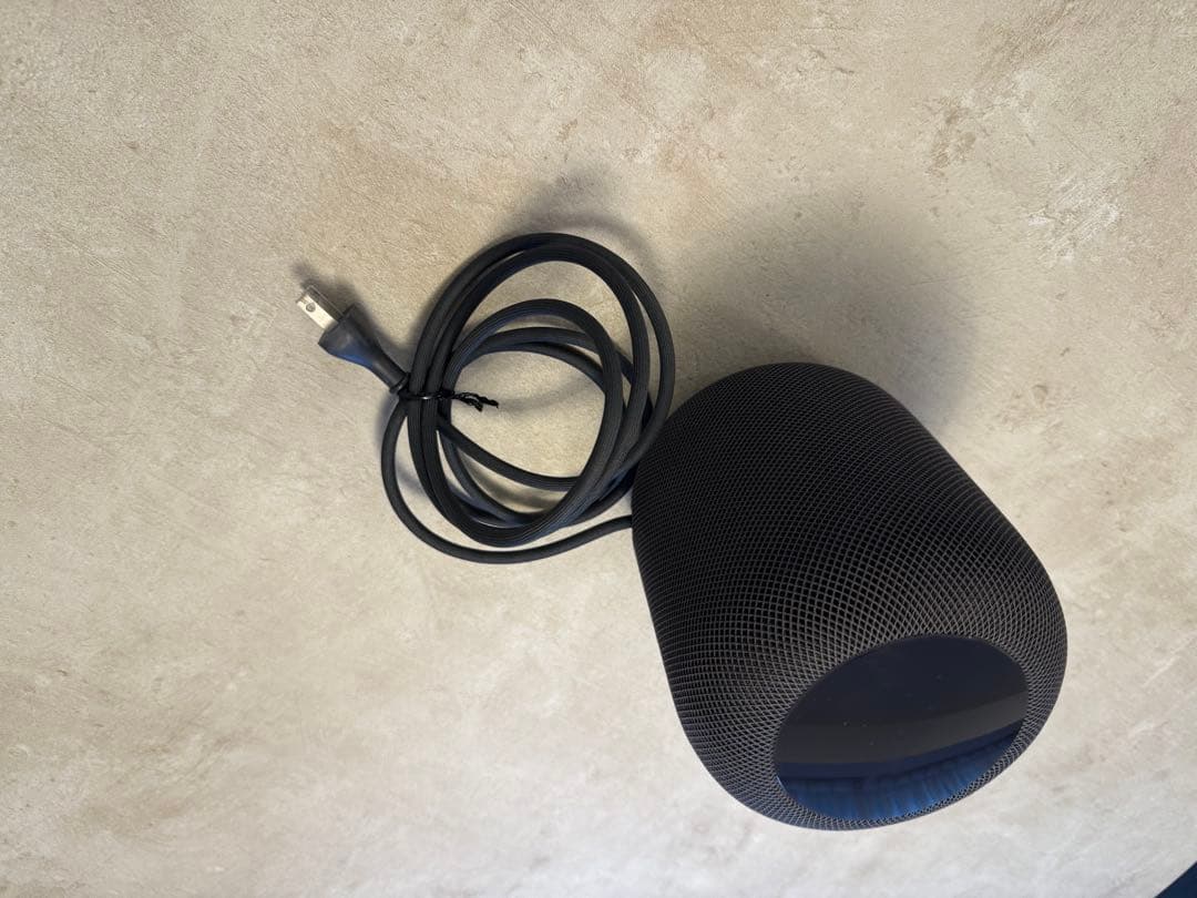 Apple Pod 第一世代　ジャンク ジャンクApple AirPods Pro 第1世代 ジャンク品Apple Pod (第1世代